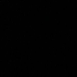 Meet your Posher, Abigail lane